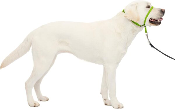 PetSafe Gentle Leader No-Pull Dog Headcollar - The Ultimate Solution to Pulling - Redirects Your Dog's Pulling for Easier Walks - Helps You Regain Control - Large, Apple Green