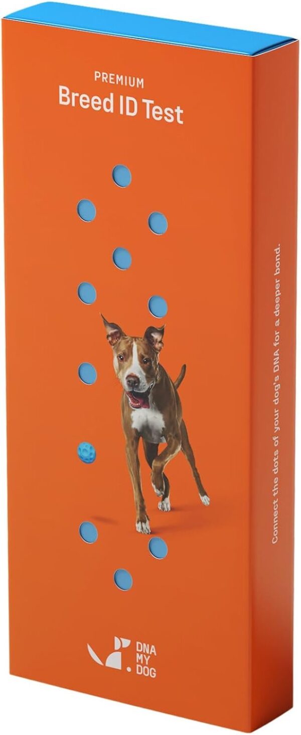 Dna My Dog Premium Test – Premium Breed ID Over 300 Breeds Plus Genetic Age Test, Wolf/Coyote DNA and Mixed Breed Identification, Non-Invasive Cheek Swab for Puppies to Adult Dogs - Image 2
