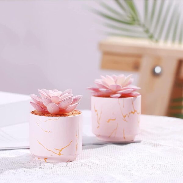 Succulent Artificial Plants,Cute Fake Succulents in 2 Pink Ceramic Pots,Small Fake Plants for Office,Table,Desk,Bathroom, Bedroom,Aesthetic Room Shelves Decor,Desk Decorations for Women Office - Image 4