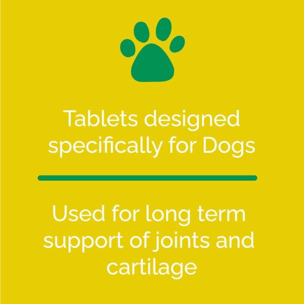 Artri Tabs Complex for Dogs - 60 Tablets - Image 7