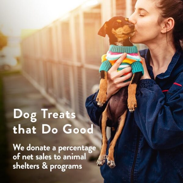 Portland Pet Food Company Healthy Dog Treats Variety 3-Pack - Grain-Free, Human-Grade, Gingerbread, Pumpkin and Bacon Dog Treats Multipack - Natural Dog Training Treats & Biscuits Made in the USA Only - Image 7