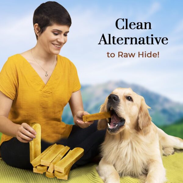 Dogsee Himalayan Dog Chews X-Large 10 Count | 100% Natural Yak Chews | Smoke Dried | Long Lasting Healthy Treats for Aggressive Chewers | Helps Fight Plaque & Tartar | SRP Box - Image 6