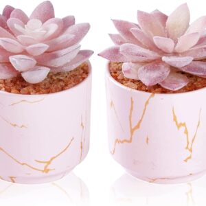 Succulent Artificial Plants,Cute Fake Succulents in 2 Pink Ceramic Pots,Small Fake Plants for Office,Table,Desk,Bathroom, Bedroom,Aesthetic Room Shelves Decor,Desk Decorations for Women Office