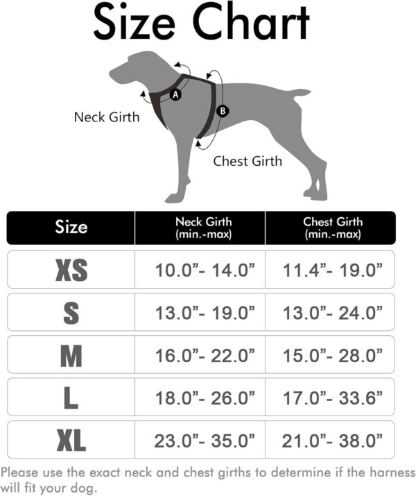 rabbitgoo Dog Harness, No-Pull Pet Harness with 2 Leash Clips, Adjustable Soft Padded Dog Vest, Reflective No-Choke Pet Oxford Vest with Easy Control Handle for Large Dogs, Black, L - Image 2