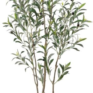 LOMANTO Artificial Olive Trees, 6 ft Tall Fake Olive Trees for Indoor, Faux Olive Silk Tree, Large Olive Plants with White Planter for Home Decor and Housewarming Gift, 1 Pack