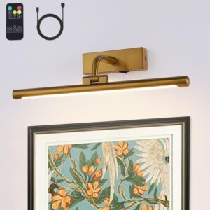 Wireless Picture Light Battery Operated with Remote Gold Art Display Lighting with Rotatable Tube Dimmable LED Wall Light for Paintings Portrait Gallery Dartboard Bedroom Bathroom with Timer