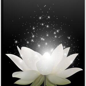 Canvas Prints Wall Art Lotus Floral Blossom Pictures for Modern Wall Decor Artwork Spirtual Meditation Prints on Canvas Wall Decor for Yoga Room Framed (12x16inch)
