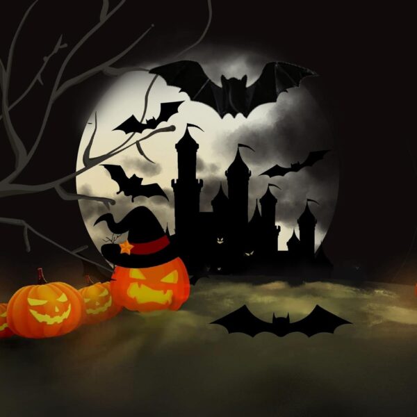 72PCS Bats Wall Decor, 3D Bat Halloween Decorations Stickers for Home,DIY Bats Halloween Party DecorationsHorror Wall Decor Indoor Stickers Decor Fear Decal Window Decoration Set - Image 7