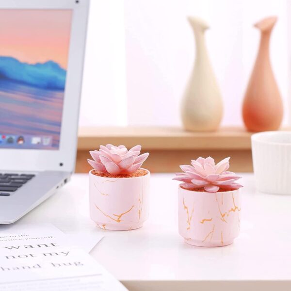 Succulent Artificial Plants,Cute Fake Succulents in 2 Pink Ceramic Pots,Small Fake Plants for Office,Table,Desk,Bathroom, Bedroom,Aesthetic Room Shelves Decor,Desk Decorations for Women Office - Image 3
