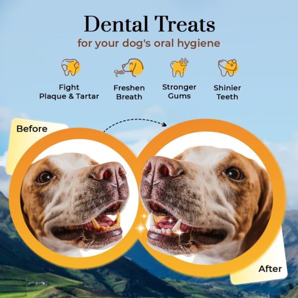 Dogsee Himalayan Dog Chews X-Large 10 Count | 100% Natural Yak Chews | Smoke Dried | Long Lasting Healthy Treats for Aggressive Chewers | Helps Fight Plaque & Tartar | SRP Box - Image 2