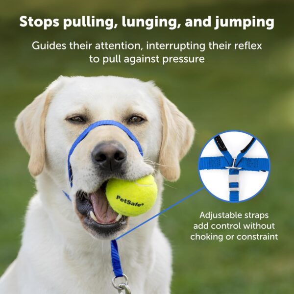 PetSafe Gentle Leader No-Pull Dog Headcollar - The Ultimate Solution to Pulling - Redirects Your Dog's Pulling for Easier Walks - Helps You Regain Control - Large, Apple Green - Image 3