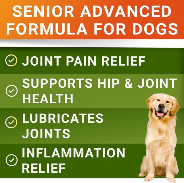 Senior Advanced Glucosamine Chondroitin Joint Supplement for Dogs - Hip & Joint Pain Relief Pills - Large & Small Breed - Hip Joint Chews Canine Joint Health - Chews Older Dogs - Chicken Flavor-120Ct - Image 2
