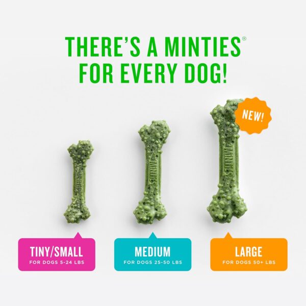 Minties Dental Chews for Dogs, 24 Count, Vet-Recommended Mint-Flavored Dental Treats for Large Dogs Over 50 lbs, Dental Bones Clean Teeth, Fight Bad Breath, and Removes Plaque and Tartar - Image 5