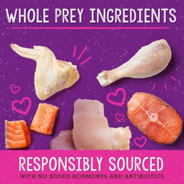 Stella & Chewy's Freeze-Dried Raw Cat Dinner Morsels – Grain Free, Protein Rich Cat & Kitten Food – Yummy Lickin’ Salmon & Chicken Recipe – 3.5 oz Bag - Image 6