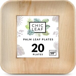 Chic Leaf Palm Leaf Plates Like Disposable Bamboo 10 Inch Square 20 Pack - Compostable Plates for Appetizers Cocktails Party Weddings and Events - Biodegradable | Eco-Friendly, Microwave & Oven Safe
