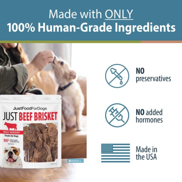 JustFoodForDogs Single-Ingredient Healthy Dog Treats, Beef Brisket, Made in The USA, 5 oz - Image 2