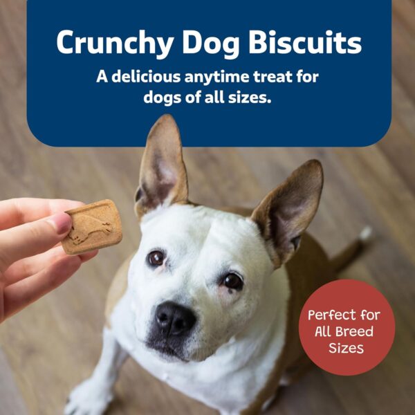 Blue Buffalo Health Bars Crunchy Dog Biscuits, Oven-Baked With Natural Ingredients, Bacon, Egg & Cheese , 16-oz. Bag - Image 5
