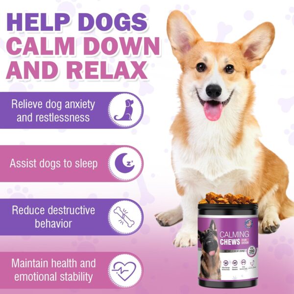 Hemp Calming Chews for Dogs 200pc Dog Calming Treat and Bites with Hemp Oil - Anxiety and Stress Relief Treats for Dogs Puppy Melatonin Sleep Aid Calm Dog with Noise,Thunder,Barking,Separation,Chewing - Image 2