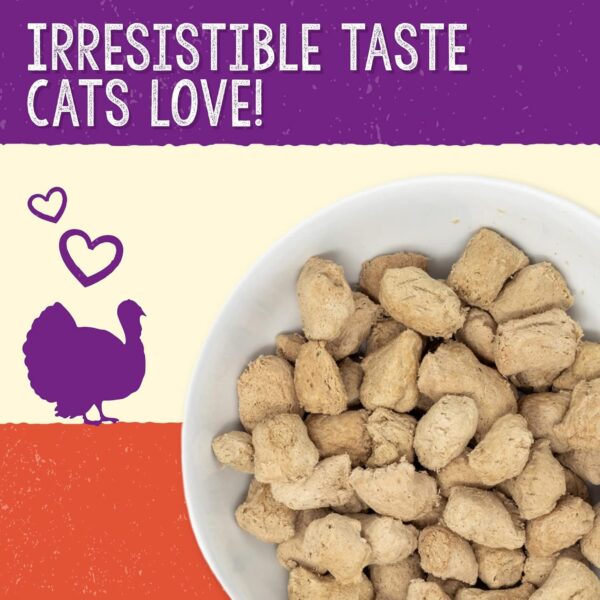 Stella & Chewy's Freeze-Dried Raw Cat Dinner Morsels – Grain Free, Protein Rich Cat & Kitten Food – Tummy Ticklin’ Turkey Recipe – 18 oz Bag - Image 3