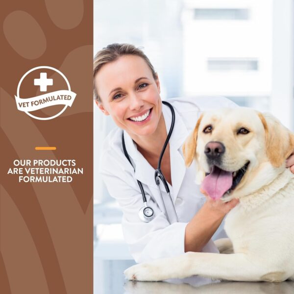 NaturVet All-in-One Dog Supplement - for Joint Support, Digestion, Skin, Coat Care – Dog Multivitamins with Minerals, Omega-3, 6, 9 – Wheat-Free Vitamins for Dogs – 60 Soft Chews - Image 6