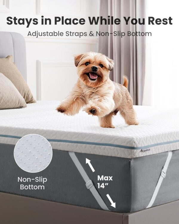Dreamsmith 3 Inch Memory Foam Mattress Topper Full, Cooling Gel-Infused Bed Topper for Back Pain with Removable Soft Cover, CertiPUR-US Certified, Full - Image 6