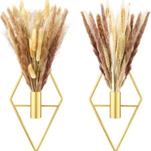 Peryiter 2 Pcs Small Boho Wall Decor Hanging Planters with Artificial Pampas Wall Mounted Metal Wall Decor Modern Home Decor Display Wall Art Bedroom Bathroom Living Room (Gold)