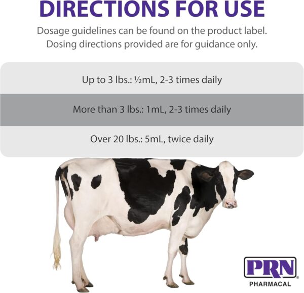 PRN Pharmacal Liqui-Tinic 4X - Iron & Vitamins Oral Nutritional Supplement for Pets- Liver-Flavored Supplement with Iron & B-Complex Vitamins to Support Wellness - 1 Gallon - Image 6