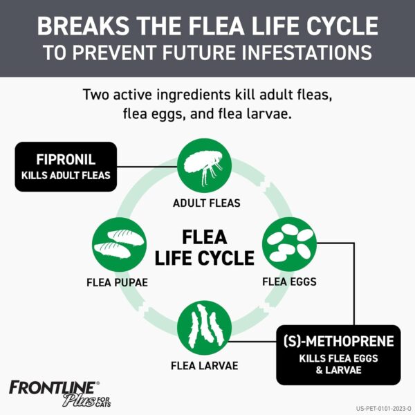 Frontline Plus Flea and Tick Treatment for Cats Over 1.5 lbs. 3 Treatments - Image 3