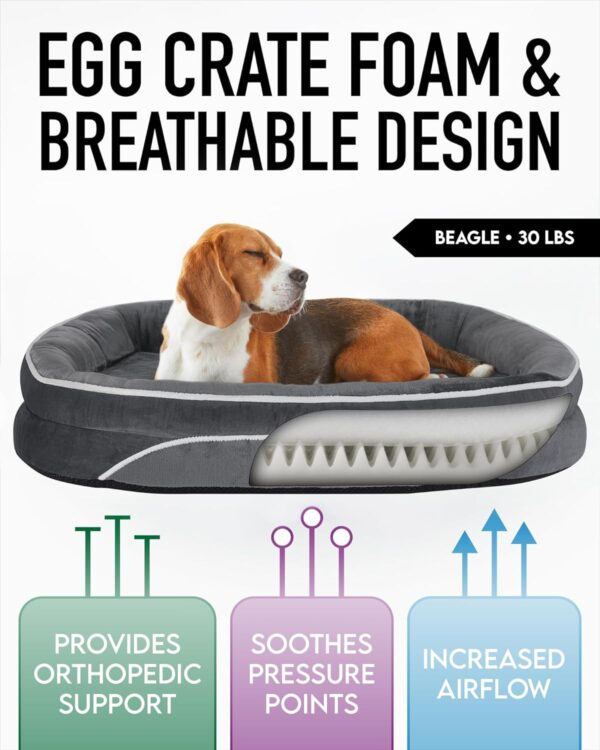 Orthopedic Dog Bed for Large Dogs, Dog Couch Design with Egg Foam Support, Removable, Machine Washable Plush Cover and Non-Slip Bottom with Four Sided Bolster Cushion (Gray) - Image 2