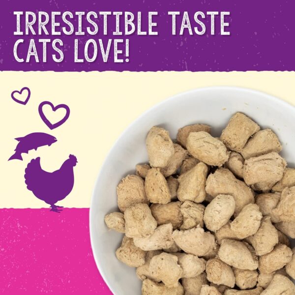 Stella & Chewy's Freeze-Dried Raw Cat Dinner Morsels – Grain Free, Protein Rich Cat & Kitten Food – Yummy Lickin’ Salmon & Chicken Recipe – 3.5 oz Bag - Image 3