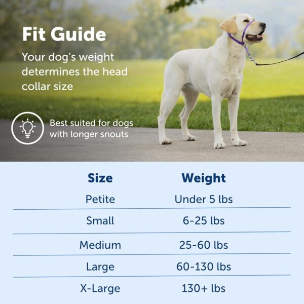 PetSafe Gentle Leader No-Pull Dog Headcollar - The Ultimate Solution to Pulling - Redirects Your Dog's Pulling for Easier Walks - Helps You Regain Control - Large, Apple Green - Image 5