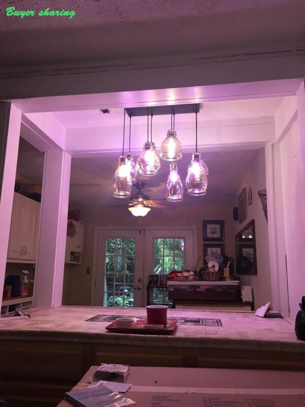 FM-24 Vintage 8-Lights Island Cognac Glass Cluster Pendant Chandelier Antique Black Finish Glass Ceiling Lights for Dining Room, Cafe, Bar - Image 3