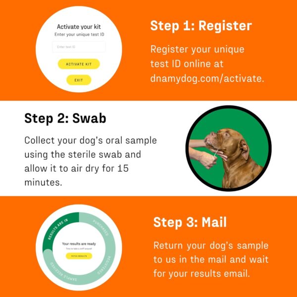 Dna My Dog Premium Test – Premium Breed ID Over 300 Breeds Plus Genetic Age Test, Wolf/Coyote DNA and Mixed Breed Identification, Non-Invasive Cheek Swab for Puppies to Adult Dogs - Image 4