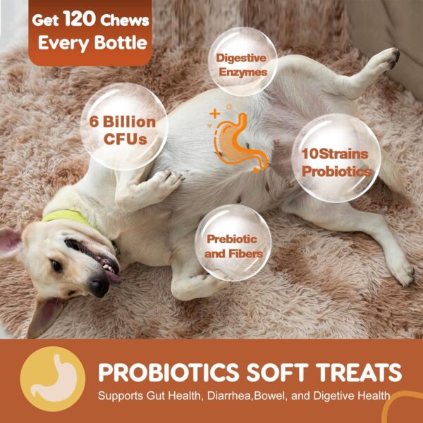 Probiotics for Dogs, Dog Probiotics for Digestive Health, Plus Pumpkin and Fish Oil, for Gut & Itchy, 120 Soft Chews - Image 3