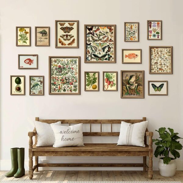 ANERZA 16 PCS Framed Vintage Wall Art Decor, Cottagecore Wall Prints for Bedroom, Gallery Wall Frame Set, Farmhouse Posters for Living Room Aesthetic, Wall Collage Kit Pictures, Rustic Dorm Home Decor - Image 6