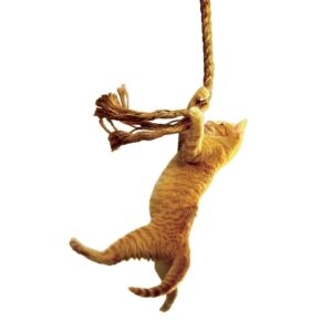 Save The Cat! The Last Book on Screenwriting You'll Ever Need