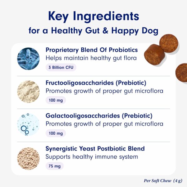 PetLab Co. Probiotics for Dogs, Support Gut Health, Diarrhea, Digestive Health & Seasonal Allergies - Salmon Flavor - 30 Soft Chews Pack of 2 - Image 4
