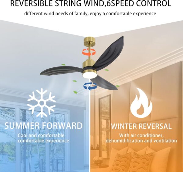 64" Wood Ceiling Fan with Lights and Remote Control, 3 Blades 6-Speed Dimmable Light Reversible DC Motor Ceiling Fan for Kitchen Bedroom Dining Living Room, Black Wood Blades with Gold - Image 2