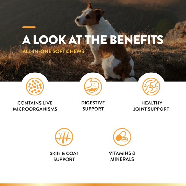 NaturVet All-in-One Dog Supplement - for Joint Support, Digestion, Skin, Coat Care – Dog Multivitamins with Minerals, Omega-3, 6, 9 – Wheat-Free Vitamins for Dogs – 60 Soft Chews - Image 5