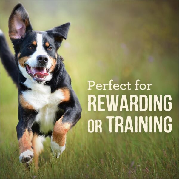 Merrick Power Bites Natural Soft And Chewy Real Meat Dog Treats, Grain Free Snack With Real Beef Recipe - 6 oz. Bag - Image 4