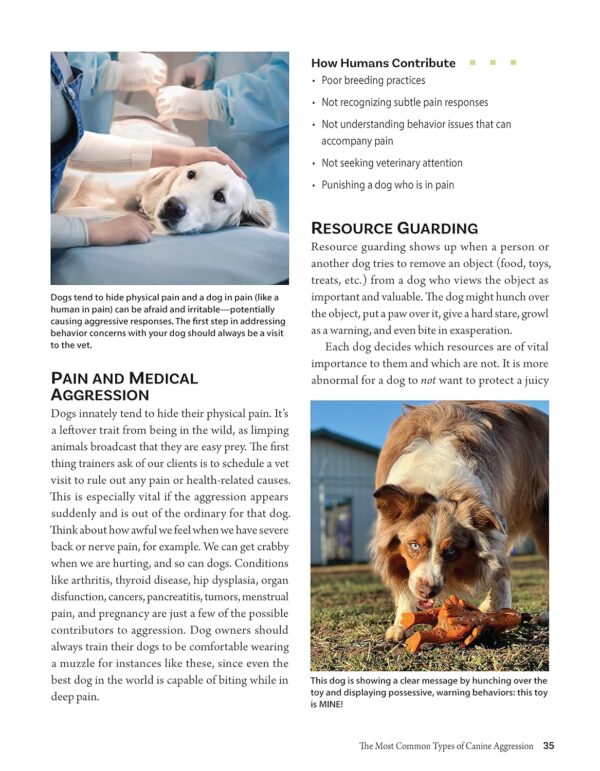 Positive Training for Aggressive and Reactive Dogs: Proven Techniques to Help Your Dog Overcome Fear and Anxiety (CompanionHouse Books) Rehabilitate Your Anxious Dog to Be Calm and Stop Bad Behavior - Image 5