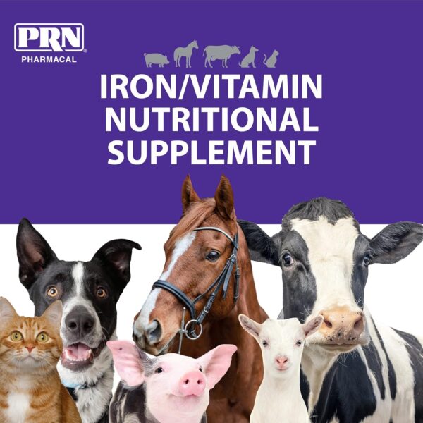 PRN Pharmacal Liqui-Tinic 4X - Iron & Vitamins Oral Nutritional Supplement for Pets- Liver-Flavored Supplement with Iron & B-Complex Vitamins to Support Wellness - 1 Gallon - Image 3