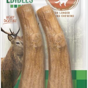 Nylabone Healthy Edibles WILD Antler Natural Long Lasting Venison Flavor Dog Chew Treats Medium/Wolf (2 Count)