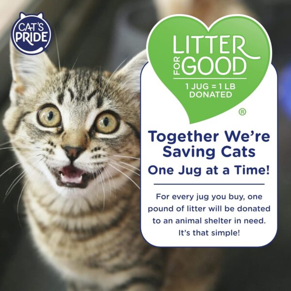 Cat's Pride Max Power: Total Odor Control - Up to 10 Days of Powerful Odor Control - Strong Clumping - Hypoallergenic - 99% Dust Free - Multi-Cat Litter, Unscented, 15 Pounds - Image 6