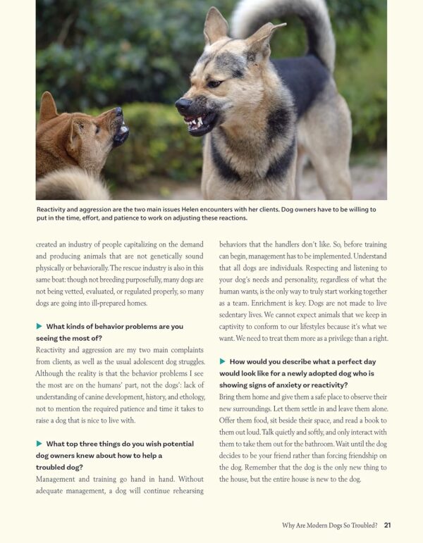 Positive Training for Aggressive and Reactive Dogs: Proven Techniques to Help Your Dog Overcome Fear and Anxiety (CompanionHouse Books) Rehabilitate Your Anxious Dog to Be Calm and Stop Bad Behavior - Image 4