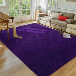 Softlife Washable Living Room Rug, 5x7 Purple Area Rugs for Bedroom, Soft Fluffy Fuzzy Carpet Bedside Rug Indoor Non-Slip Rug for Kids Home Decor Aesthetic Dorm Nursery