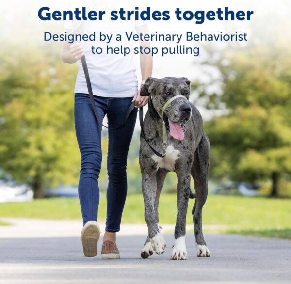 PetSafe Gentle Leader No-Pull Dog Headcollar - The Ultimate Solution to Pulling - Redirects Your Dog's Pulling for Easier Walks - Helps You Regain Control - Large, Apple Green - Image 2