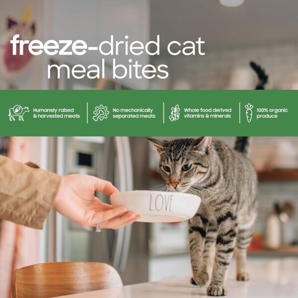 smallbatch Pets Cat Freeze Dried Meal Bites, Premium Raw Cat Food, Beef Recipe, 10 oz, Humanely Sourced Meat and Made in The USA - Image 6