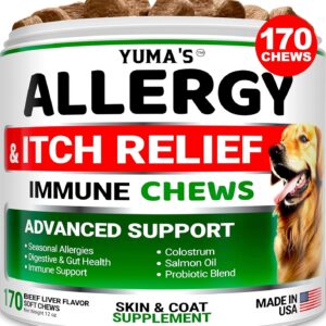 Dog Allergy Relief Chews - Dog Itching Skin Relief Treatment Pills - 170 Treats - Itchy and Paw Licking - Anti-Itch - Dry Skin & Hot Spots Omega 3 Fish Oil Skin & Coat Supplement - Beef Liver Flavor
