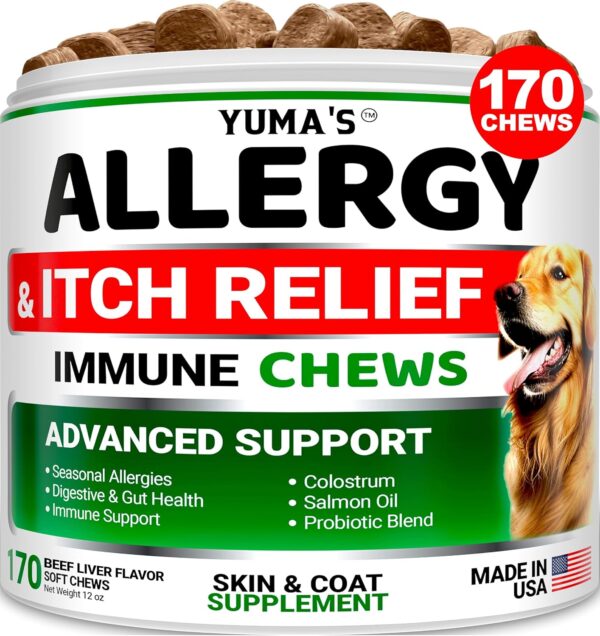 Dog Allergy Relief Chews - Dog Itching Skin Relief Treatment Pills - 170 Treats - Itchy and Paw Licking - Anti-Itch - Dry Skin & Hot Spots Omega 3 Fish Oil Skin & Coat Supplement - Beef Liver Flavor